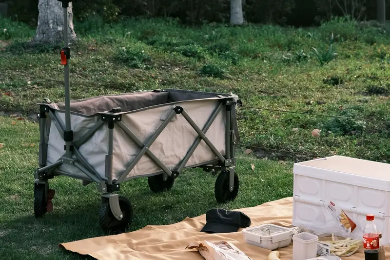 Folding wagon with a pull handle parked on grass beside a picnic blanket and cooler