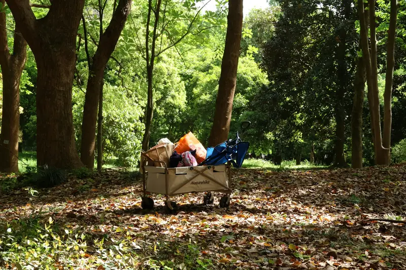 Folding wagon loaded with bags and gear standing on a leafy woodland path