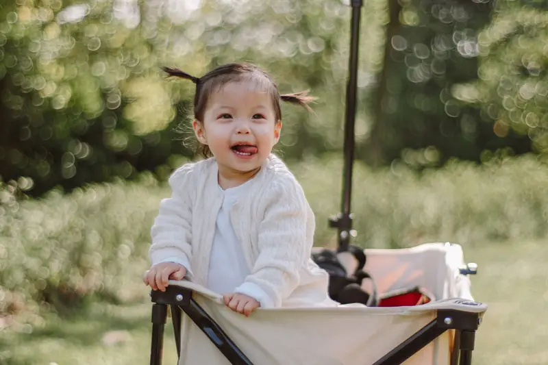 Smiling toddler with pigtails standing in a cream canvas folding wagon in a park