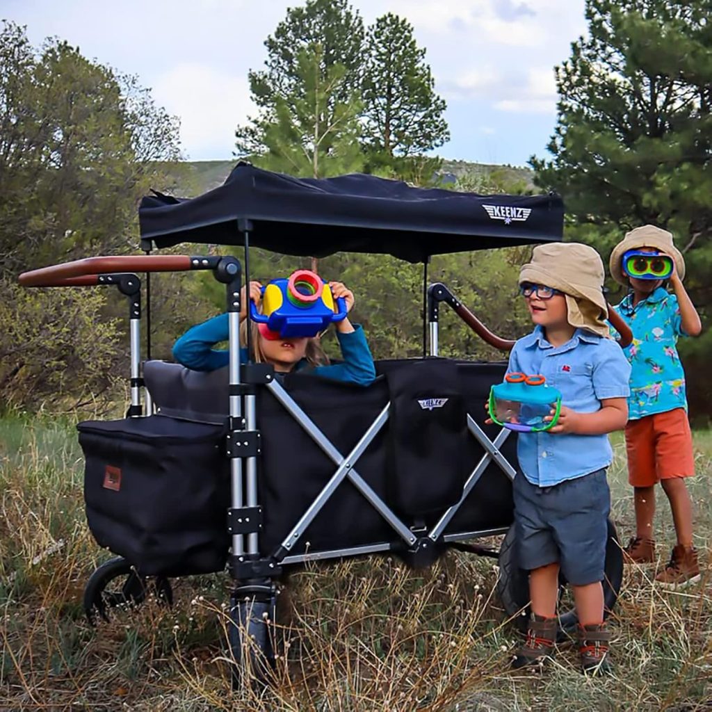 Best Stroller Wagon for Twins