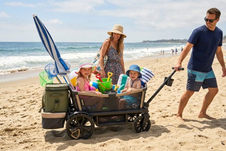 Best Beach Wagons for Kids