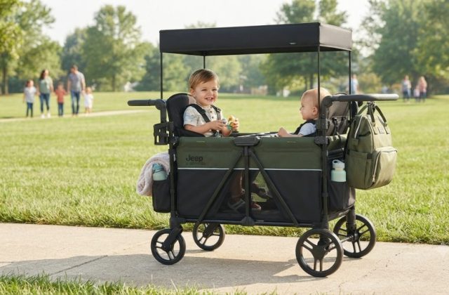 Jeep Aries Stroller Wagon Review