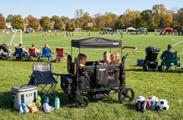 Keenz DUO Stroller Wagon Review