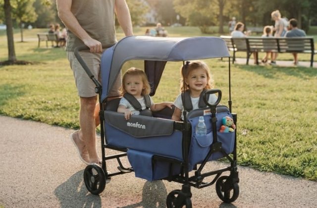 Momfann Stroller Wagon Review