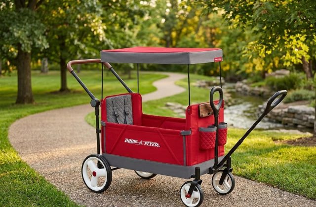 Radio Flyer Convertible Stroller Wagon Review